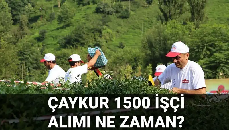 Çaykur İşçi Alımı İçin Başvuru Tarihleri Açıklandı! Son Gelişmeler
