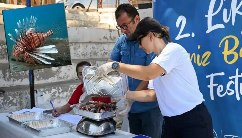 Antalya'da İstilacı Aslan Balığı Avlama Yarışması: Ekosistemi Kurtarma Mücadelesi