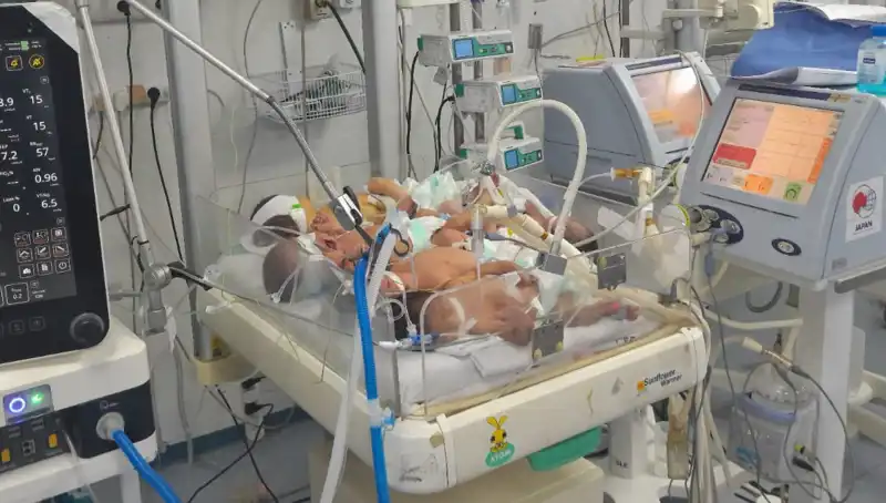 Gaza'daki Sağlık Krizi: Doktorlar Bebekler için Acil Çözüm Arıyor