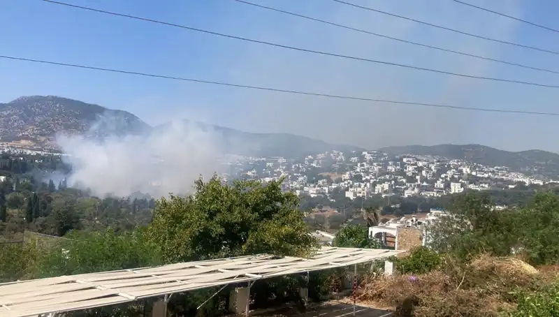 Muğla'daki Orman Yangınlarında Son Durum: Kontrol Altına Alındı!
