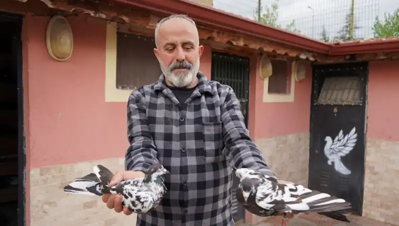 42 Yıllık Tutku: Hobi Olarak Başladı, Şimdi Tesise Dönüştü!