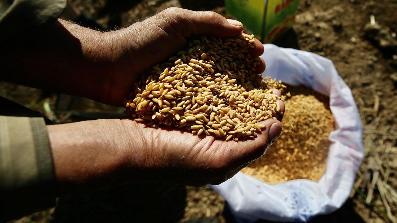 Tarım Kredi Marketlerinde Ata Tohumlarının Satışı Başlıyor