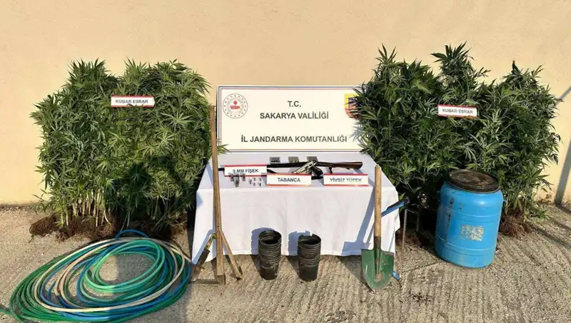 Sakarya'da Uyuşturucu Operasyonu: Gizli Ağ Çözüldü, 1 Kişi Tutuklandı
