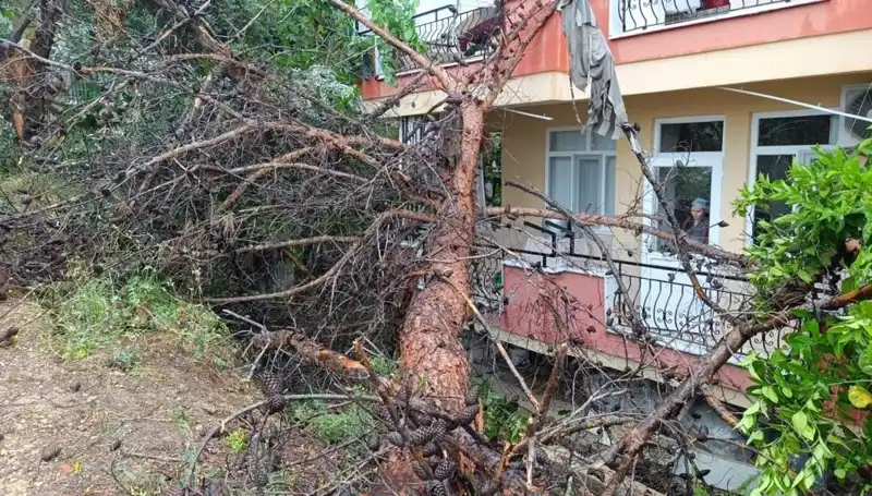 Yağmurun Gücü: Bina Kirişleri Dayanamadı ve Devrildi!