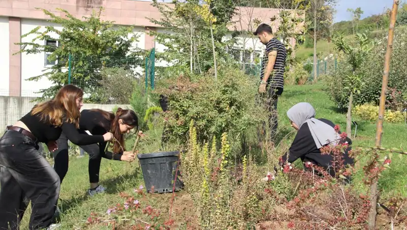 Düzce'nin Hayalini Gerçeğe Dönüştüren Mucit: Dünya Çapında Bir Başarı
