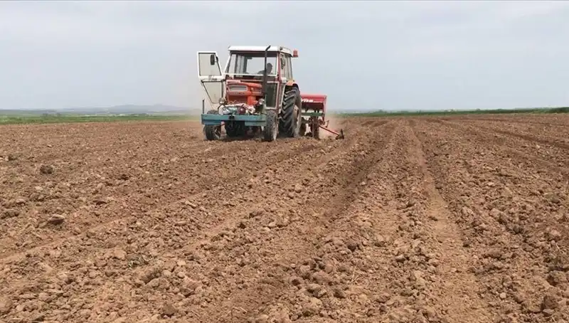 Son 35 Yılın En Kurak Mart’ı: Yağış Miktarında Şok Düşüş