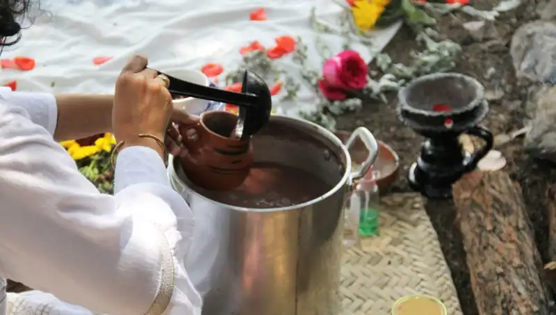 Ayahuasca: Şifalı İçki Yasağının Arkasındaki Gerçekler ve Etkileri