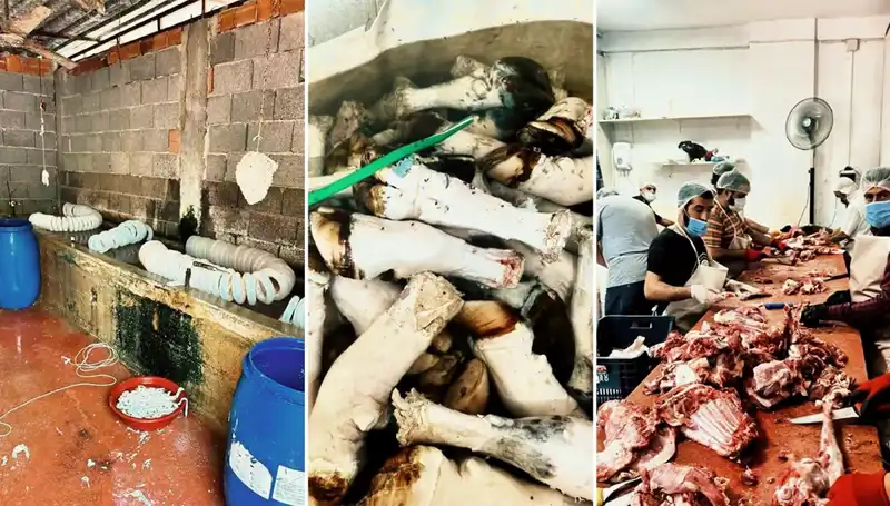 Adana'da Hijyen Skandalı: Yüzlerce Kilo Paça Ele Geçirildi!