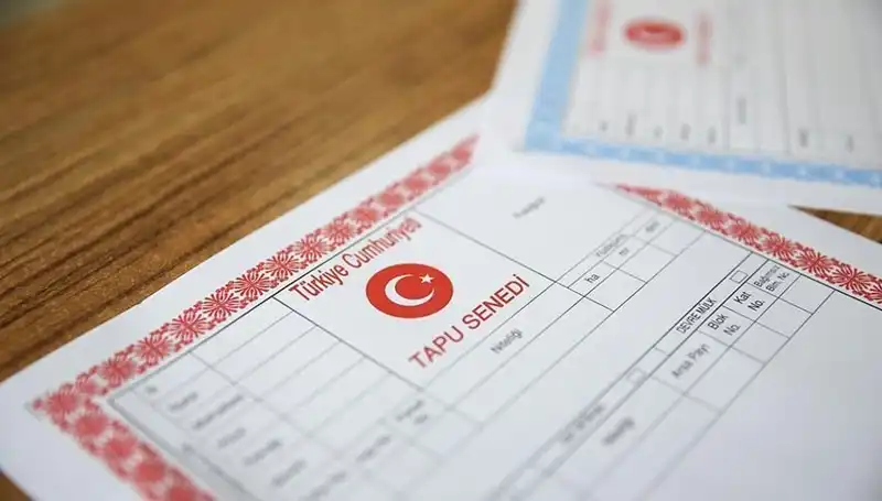 Hisseli Tapu Aldatmacası: 100 Milyonluk Dolandırıcılığın Perdesi Aralandı