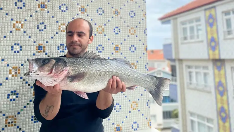 7,5 Kiloluk Dev Levrek Avlandı: Balıkçıların Gözdesi Oldu!