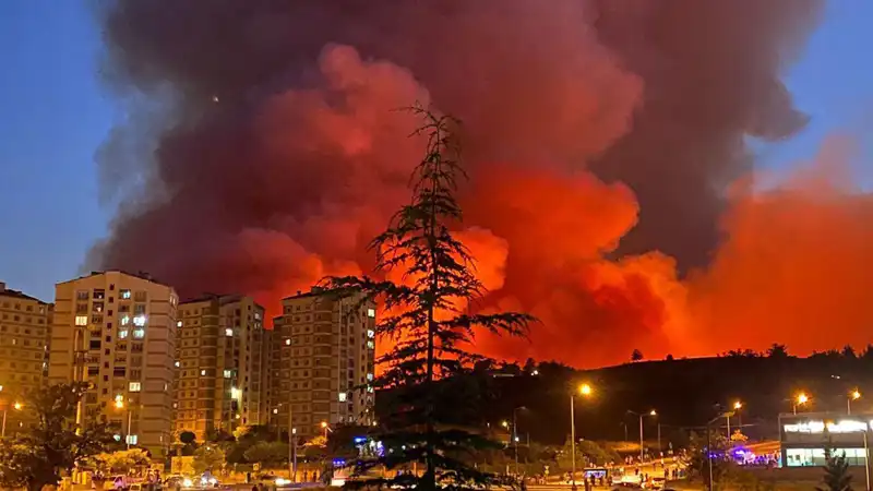 Bursa’da Yangınlar, Şehri Sarmalayan Tehlike: Nedenleri ve Çözüm Önerileri