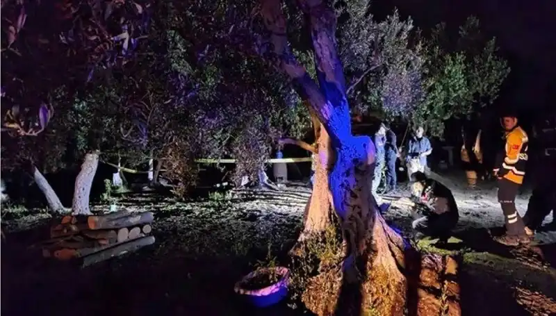 Çiftlikte Baltalı Vahşet: Bir Gözaltı ve Soruşturma Başlatıldı
