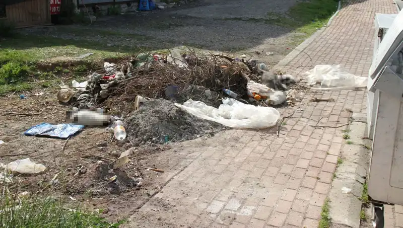 Antalya’da Bulunan 10 Kedi Ölü, Hayvanseverleri Şok Etti