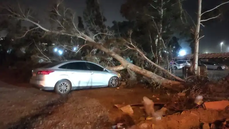 Hatay’da Şiddetli Fırtına: Ağaçlar Devrildi, Tekneler Alabora Oldu!