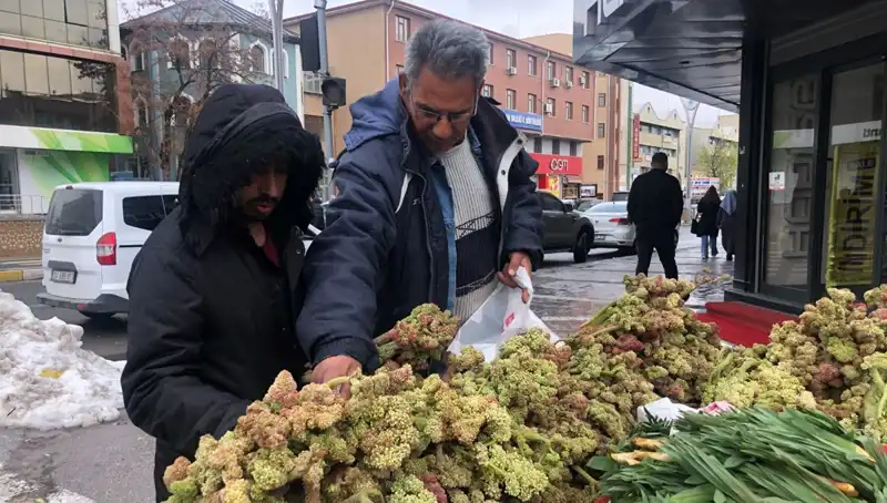 Kendiliğinden Yetişen Vitamin Deposunun Şaşırtıcı Faydaları ve Kanserle Mücadelesi