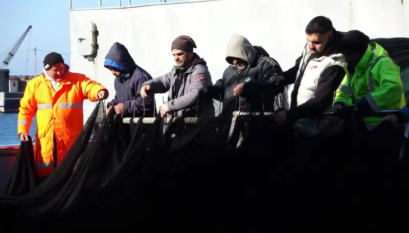 Hamsi Krizi: Denizlerde Hamsi Stoğu Tükendi, Balıkçılar Erken Tatile Çıkıyor