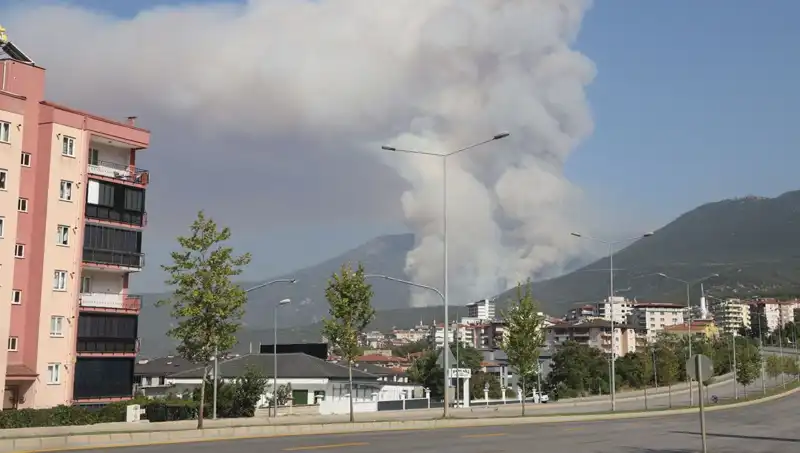 Denizli’de Orman Yangını: Şüpheli Gözaltında, Olayın Karanlık Yüzü Ne?