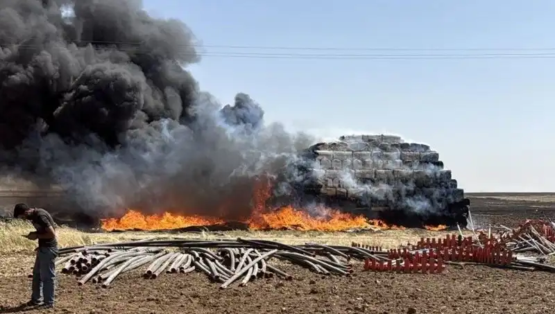 Mardin'de Ani Anız Yangını: Tarım Alanları Tehdit Altında
