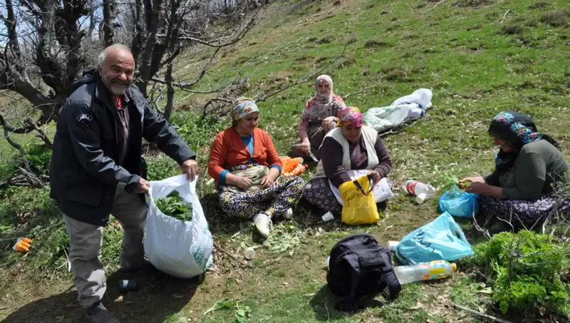 Yüzlerce Ailenin Geçim Kaynağı: 250 Liralık Kilo İçin 5 Saat Yol Yürüyorlar