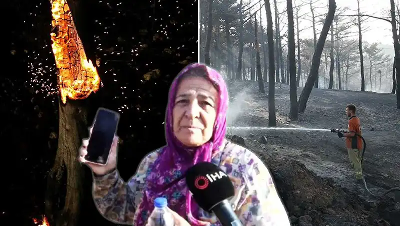 Çanakkale Orman Yangınları Kontrol Altında: Kurtulan Hayatlar ve Kayıplar