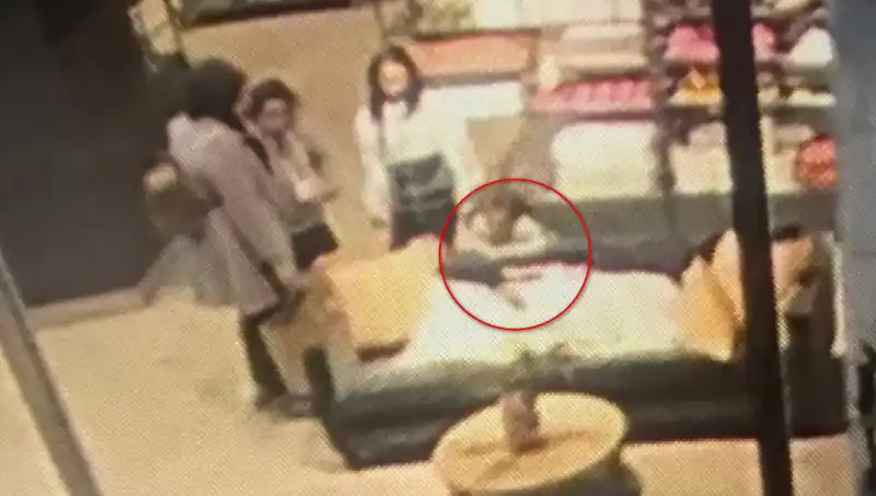 3 Yaşındaki Çocuğa AVM'de Köpek Saldırdı: Olayın Ardındaki Gerçekler