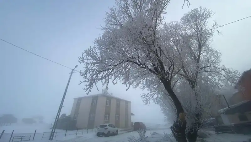 Eksi 18 Derece: Göle'de Kışın Sıfır Altı Güzellikleri