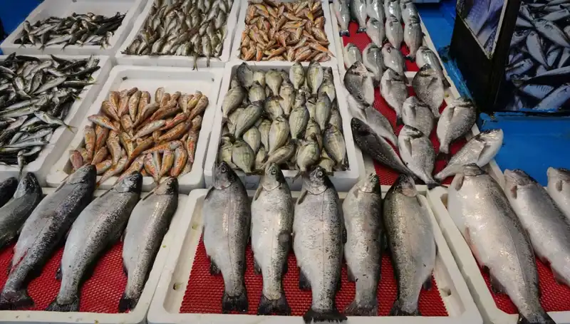 Yeni Yasakların Ardından: Tezgahlar Kimlerin Elinde Kaldı?