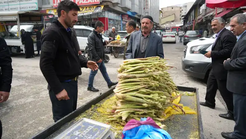 Dağlık Alanların Şifalı Bitkisi: Şekerin Sağlık Üzerindeki Etkileri