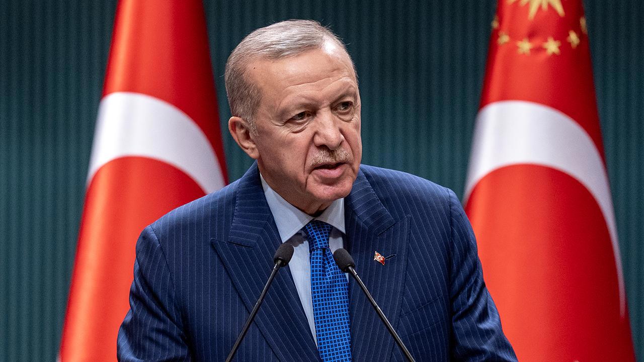 Cumhurbaşkanı Erdoğan: Türkiye Suriyelilere Enzarlık Yaptı