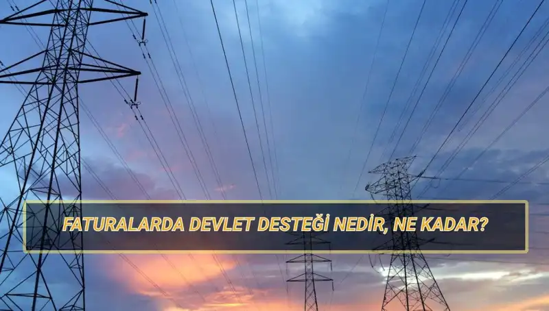 2025'te Fatura Destek Ödemeleri: Elektrik ve Doğalgaz İçin Kimler Yararlanacak?