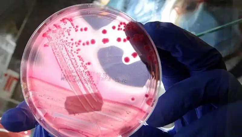 Bilim İnsanları AP2A1 Proteinini Baskılayarak Yaşlanmayı Geciktirme Umudu Taşıyor
