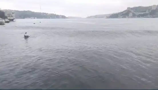 İstanbul'da Şok Eden 6,2 Büyüklüğündeki Deprem ve Denizde Yükselen Dalgalar